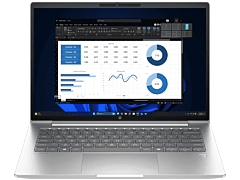 HP ProBook 4 G1i 14 inch Notebook AI PC, Silver - 14-inch - Pike silver (BP9E3PT)