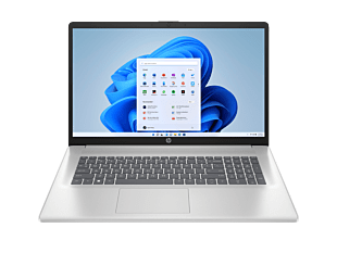 HP Laptop 17-cn4002TU, Silver - 17.3" - Natural silver (D41R7PA)