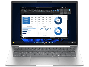 HP ProBook 4 G1i 14 inch Notebook AI PC, Silver - 14-inch - Pike silver (BP9E3PT)