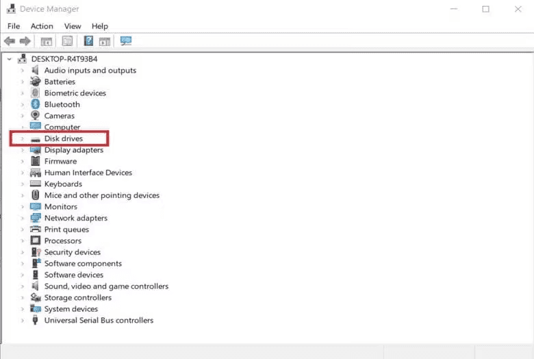 Windows Device Manager displaying storage device information